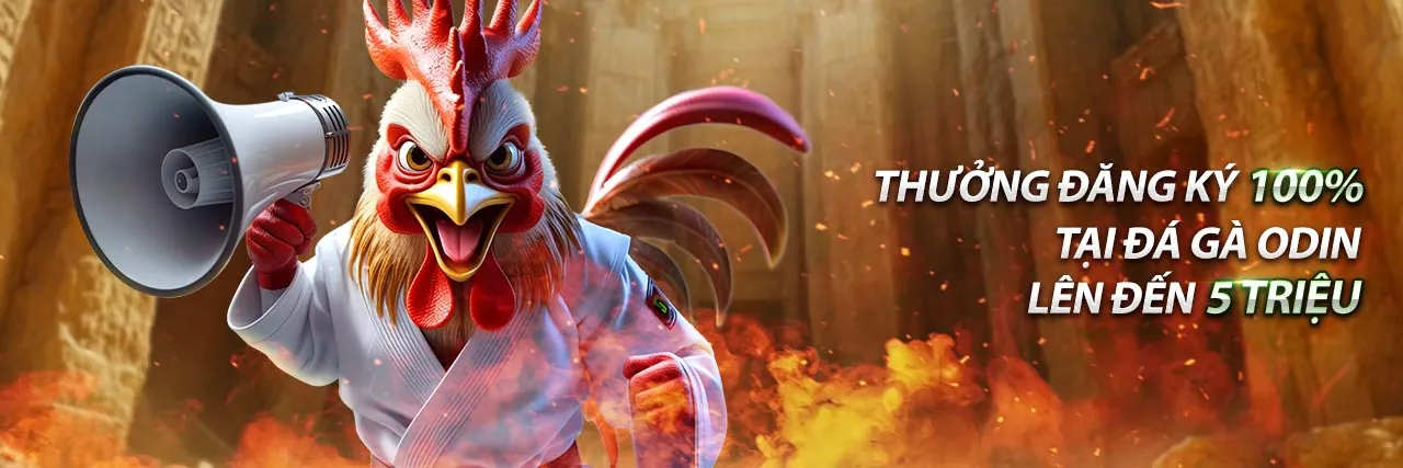 Hướng dẫn quy trình cá cược đá gà tại cg79 đăng nhập